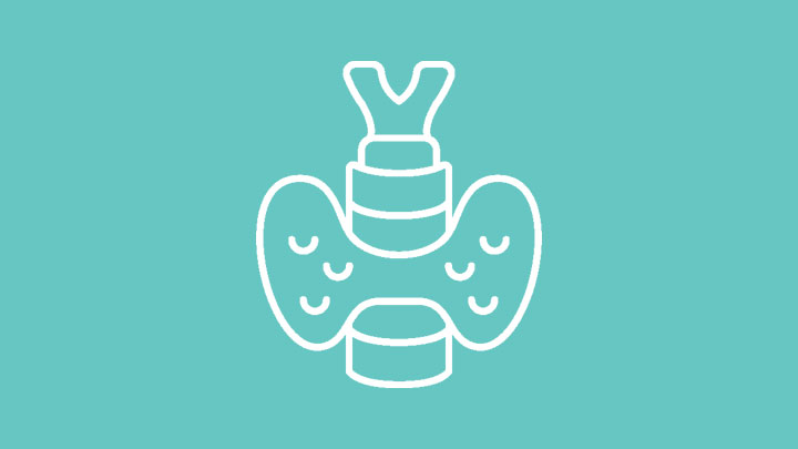 bloc Maladies endocriniennes