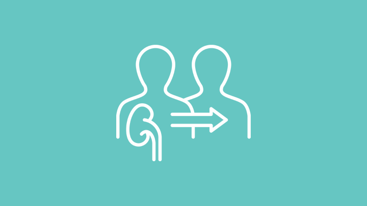 Transplantation rénale 