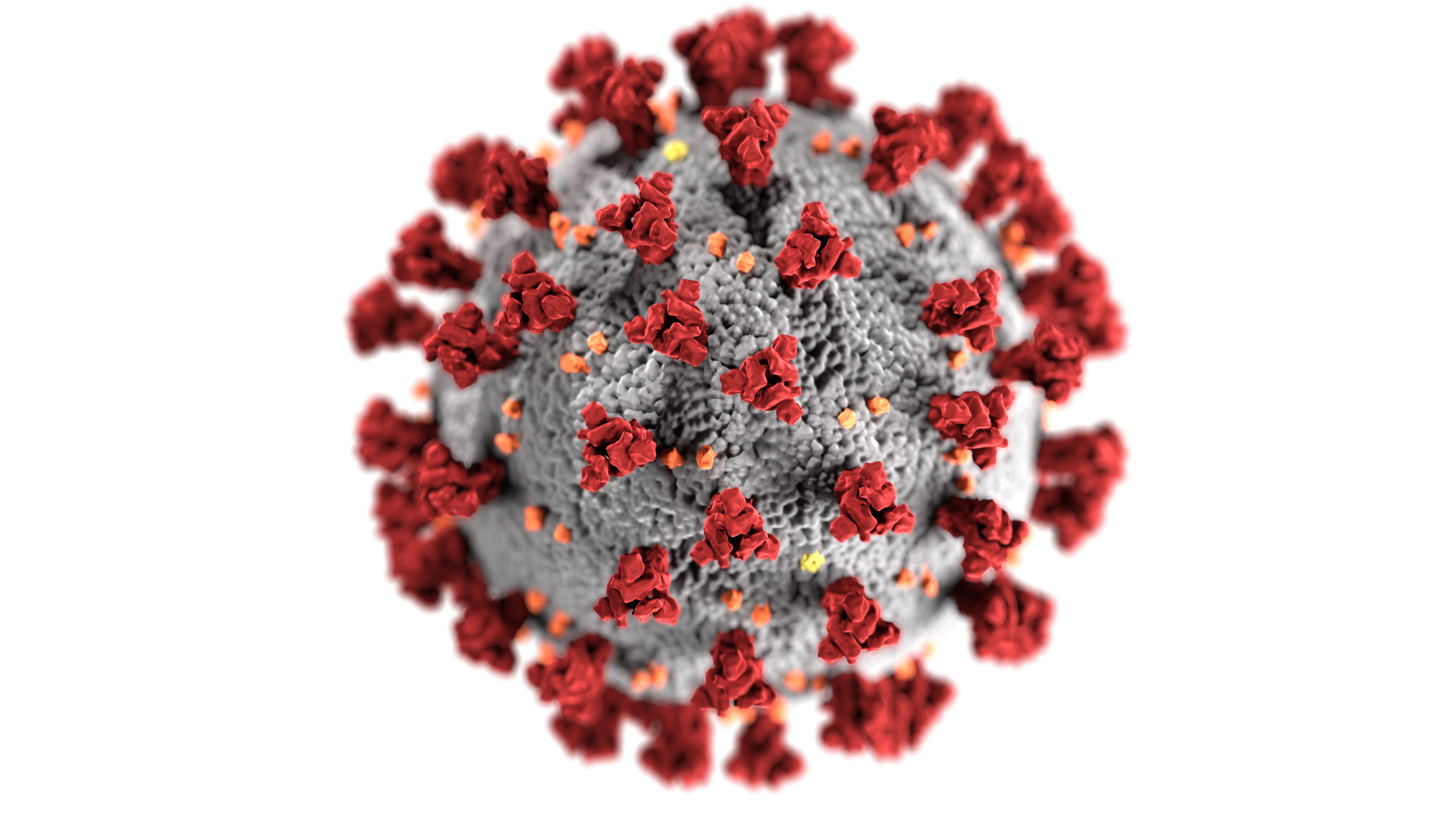 es études scientifiques aux HUG et à l'UNIGE pour mieux comprendre le nouveau Coronavirus - COVID-19
