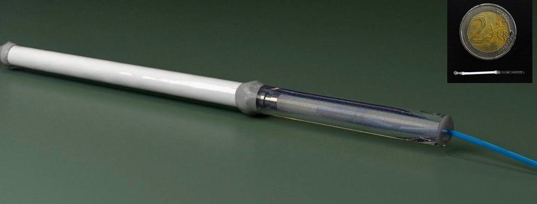 ©UNIGE/HUG/MaxiVAX - Cell encapsulation antiviral vaccines 