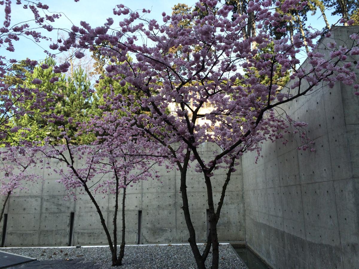 13ème journée genevoise d'addictologie