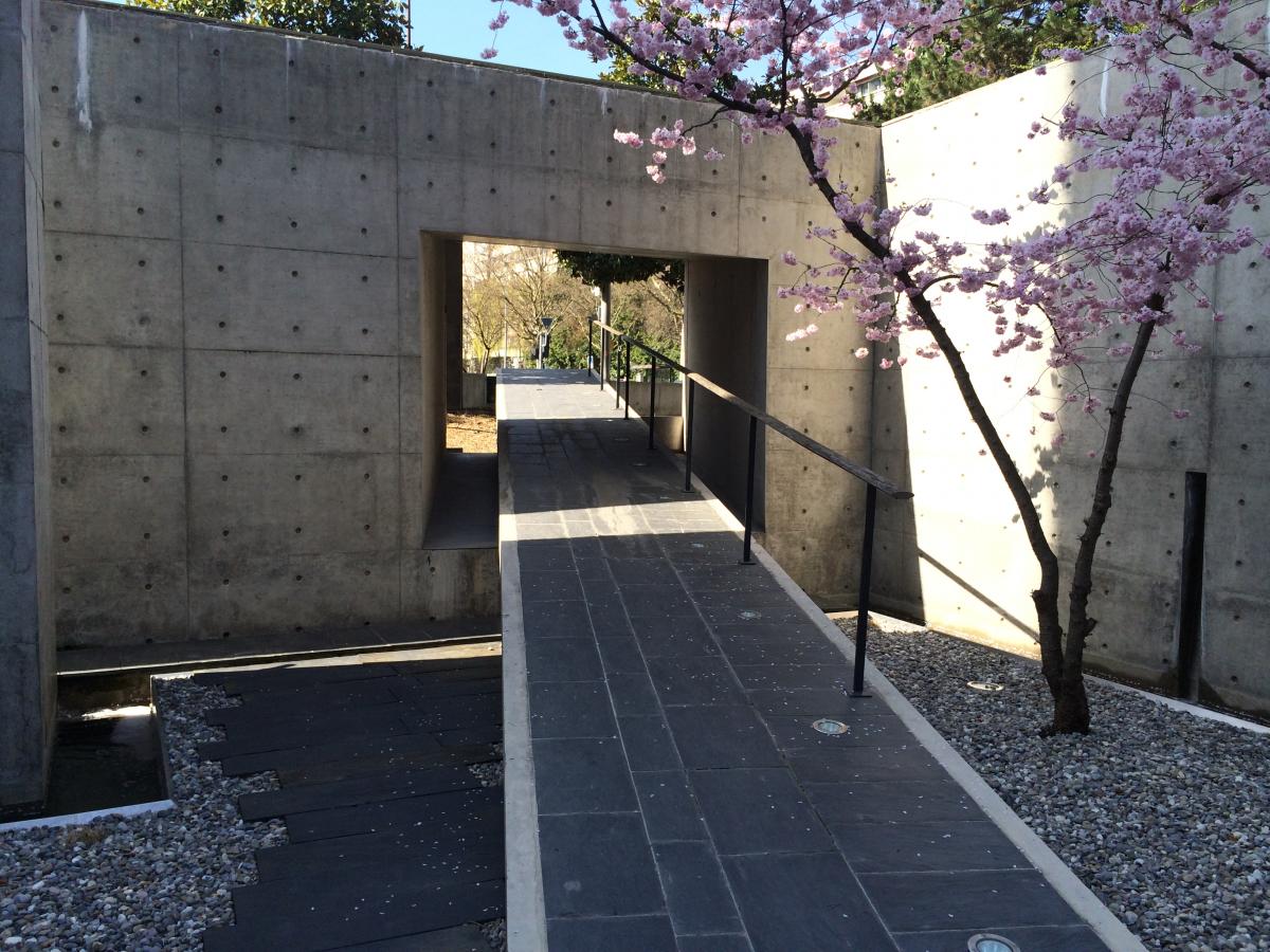 13ème journée genevoise d'addictologie