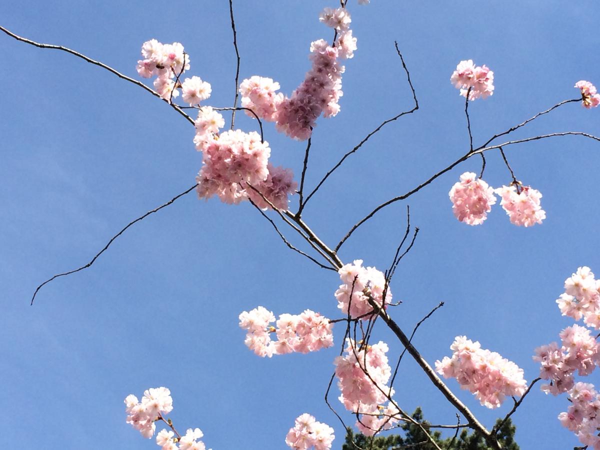 13ème journée genevoise d'addictologie