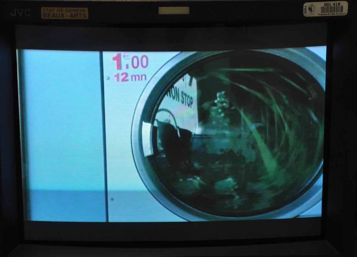 Art au CAAP Grand Pré, Visites guidées, 6.5.2014