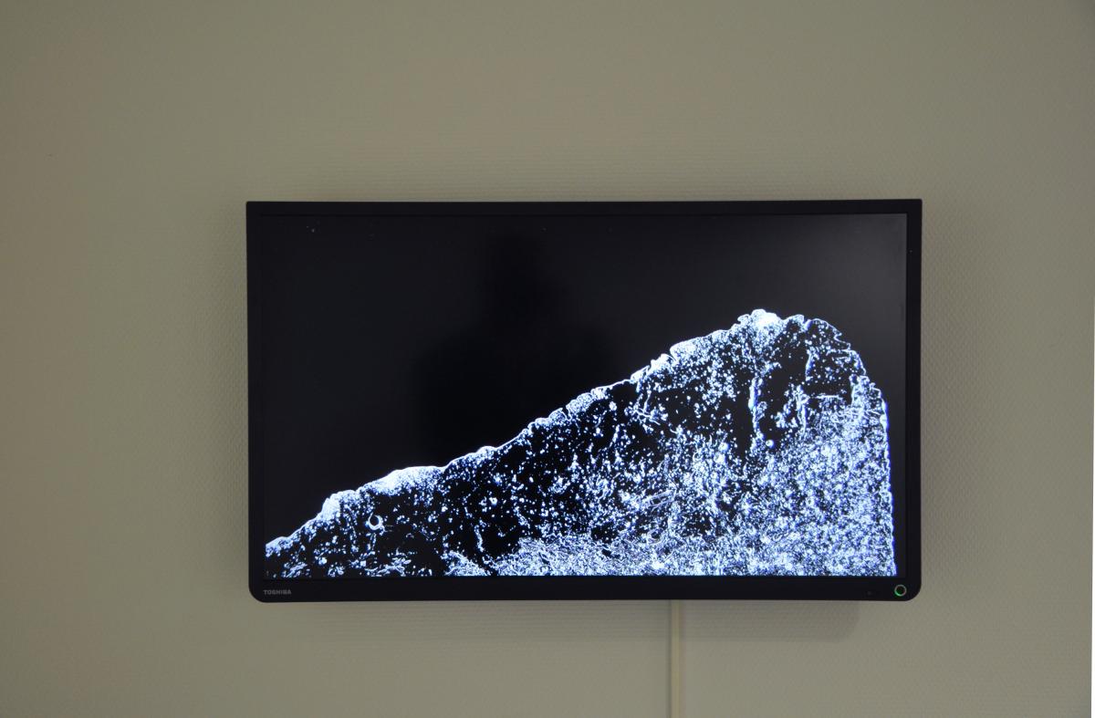 Art au CAAP Grand Pré, Visites guidées, 6.5.2014