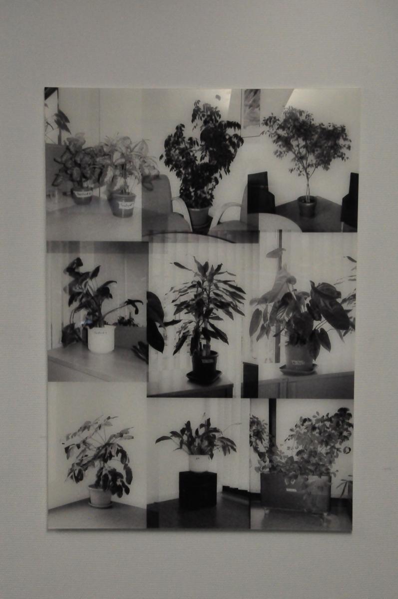 Art au CAAP Grand Pré, Visites guidées, 6.5.2014