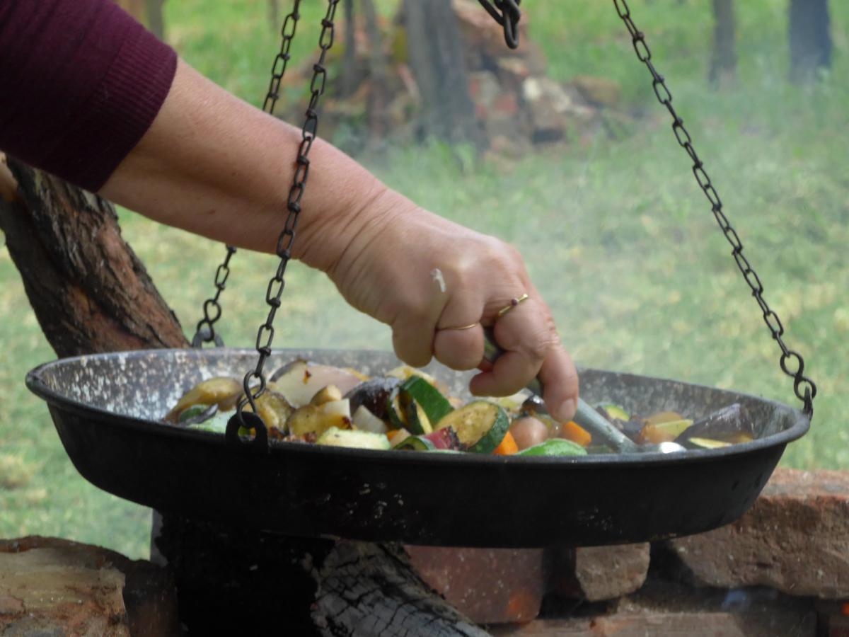 11ème Colloque international de psychiatrie, de psychologie clinique et de psychanalyse, « Un Divan sur le Danube » et XIII. Közösségi Pszichiátriai, Addiktológiai és Mentálhigiénés Konferenciára