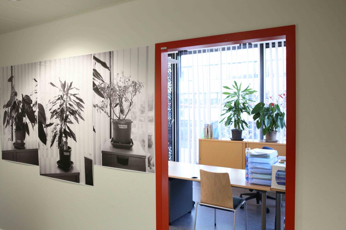 La HEAD (Haute Ecole d'Art et de Design) au CAAP Grand Pré