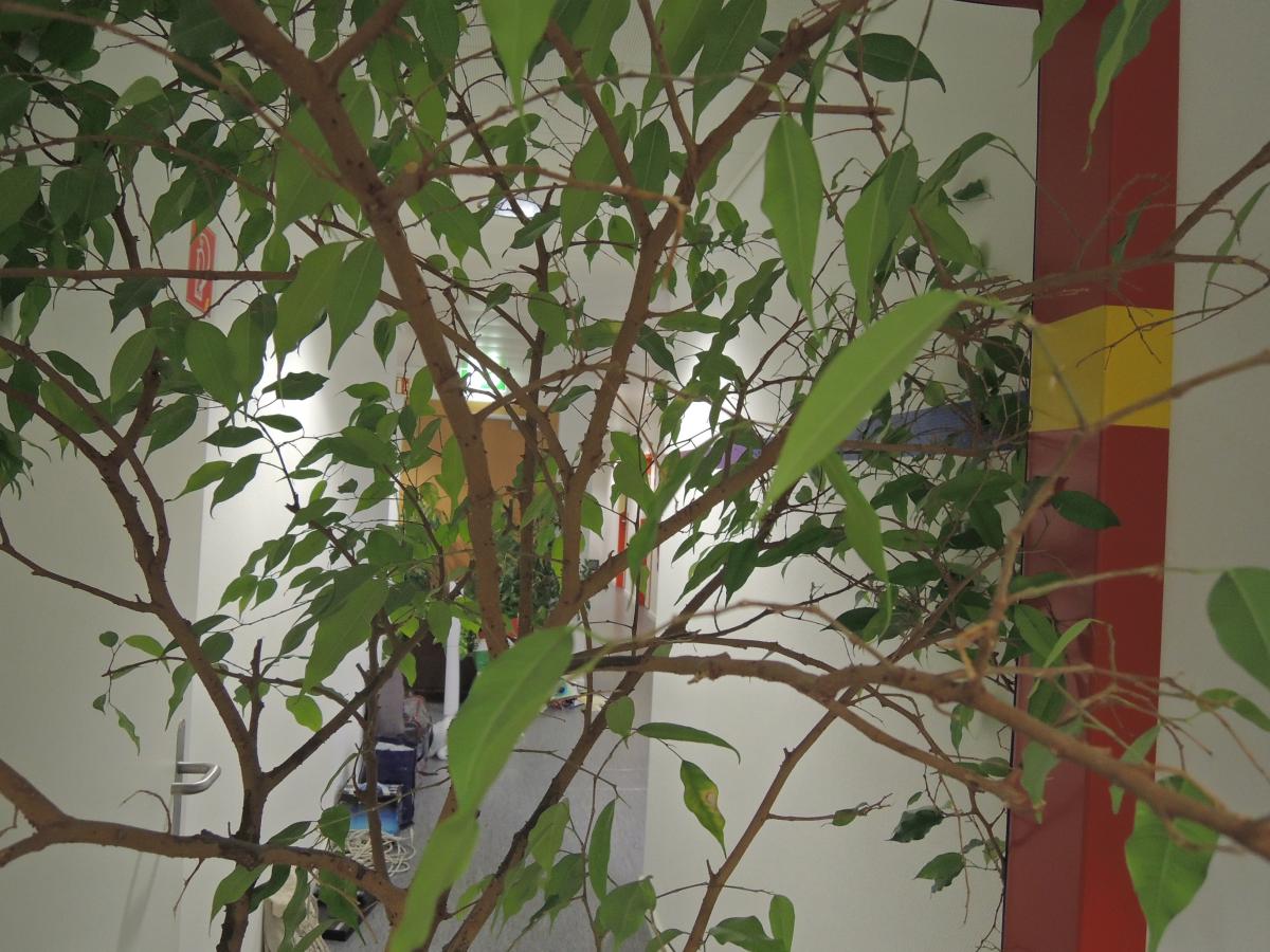 La HEAD (Haute Ecole d'Art et de Design) au CAAP Grand Pré