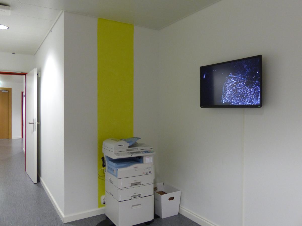 La HEAD (Haute Ecole d'Art et de Design) au CAAP Grand Pré