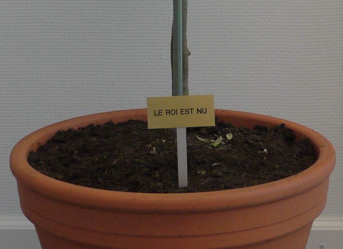 La HEAD (Haute Ecole d'Art et de Design) au CAAP Grand Pré