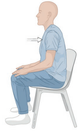 exercices -extension du genou