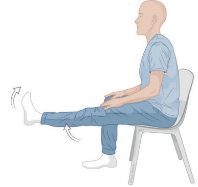 Exercice : extension genou