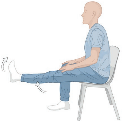 exercices -extension du genou