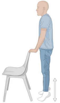 Flexion plantaire sur deux jambes