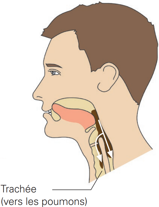 Fausse route fausse route