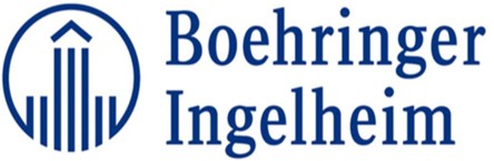 Boerhinger Ilheim Logo