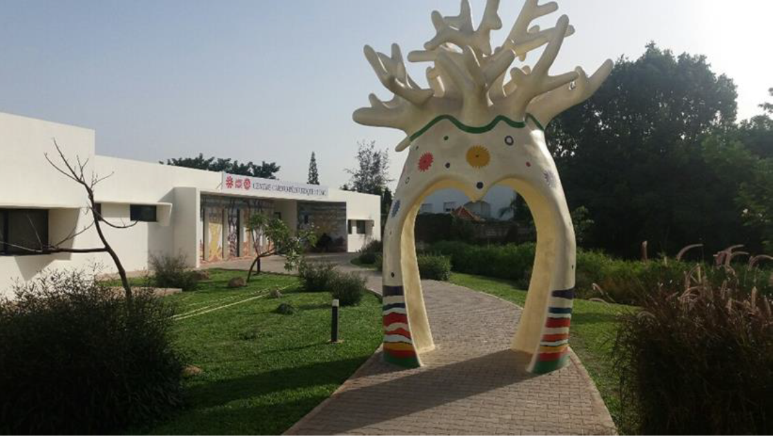 MasterChirurgieCardiaque