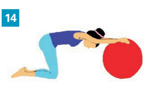 Exercices avec accessoires simples : un gros ballon