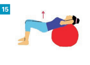 Exercices avec accessoires simples : un gros ballone