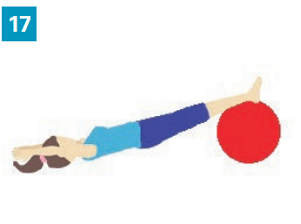 Exercices avec accessoires simples : un gros ballon