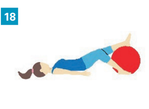 Exercices avec accessoires simples : un gros ballon