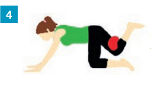 Exercices avec accessoires simples : un soft ball