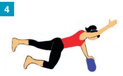 Exercices avec accessoires spécifiques : un rouleau 