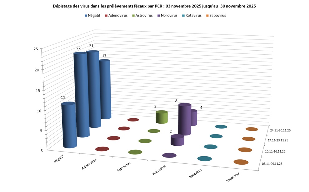 Virus gastro-entérites du mois de Novembre 2025