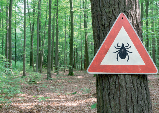 Colloque infectiologie