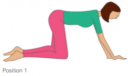 Position pour le renforcement du périnée : le dos du chat