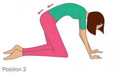 Position pour le renforcement du périnée : le dos du chat