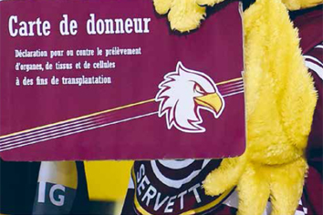 mascotte Calvina du Genève- Servette Hockey Club avec la carte de donneur