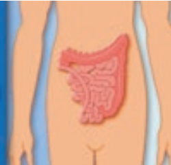 dérivation urinaire continente cutanée