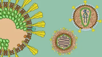 10ᵉ anniversaire du Centre des maladies virales émergentes