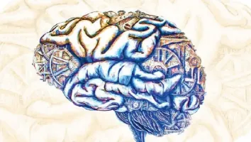 NC Talk: "Open vascular neurosurgery in a “endovascular first“ world"
