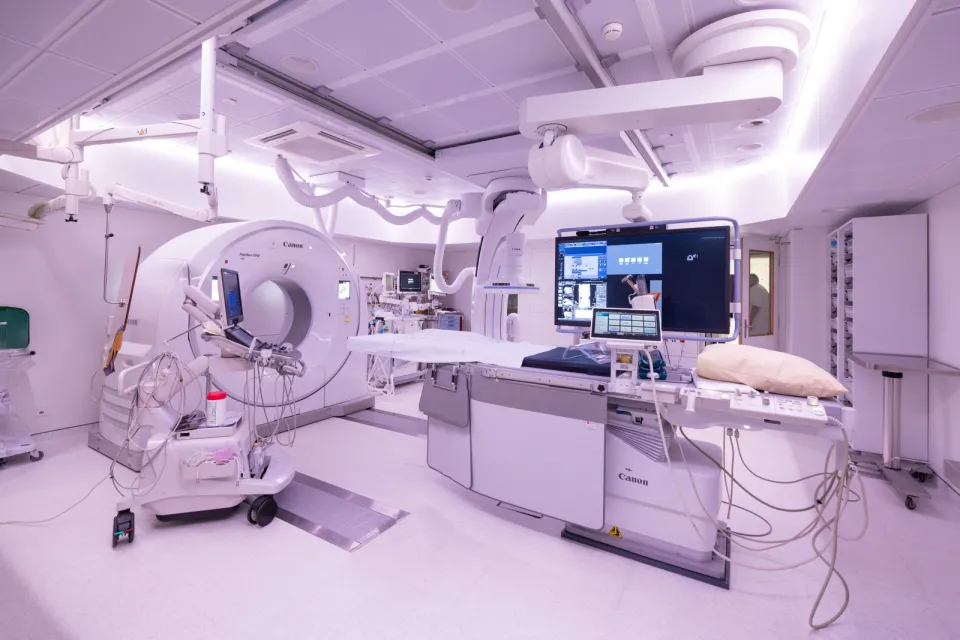 Alphenix 4D CT Angio Canon