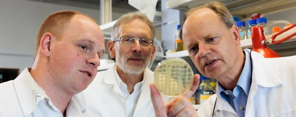 Bacteriophages : Christian van Delden, Thilo Köhler et Alexandre Luscher - Copyright : Jonathan Imhof/ HUG