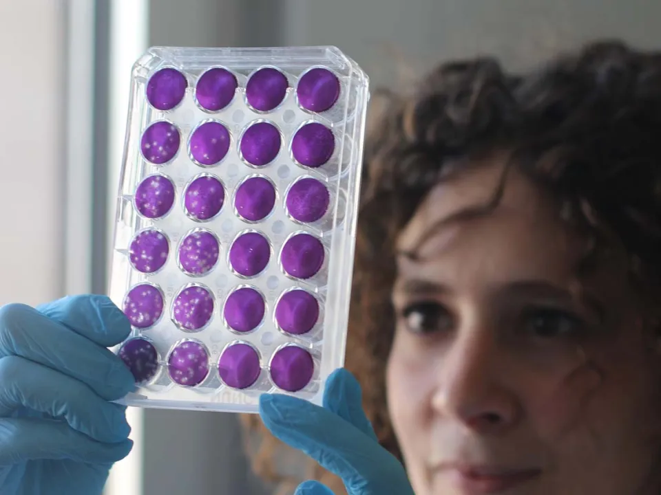 Comment Omicron échappe au système immunitaire