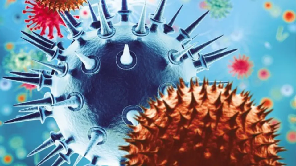 Conférence ICPIC 2019