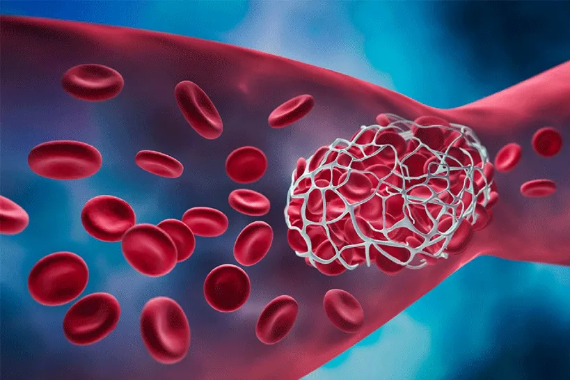 illustration © Endotelix