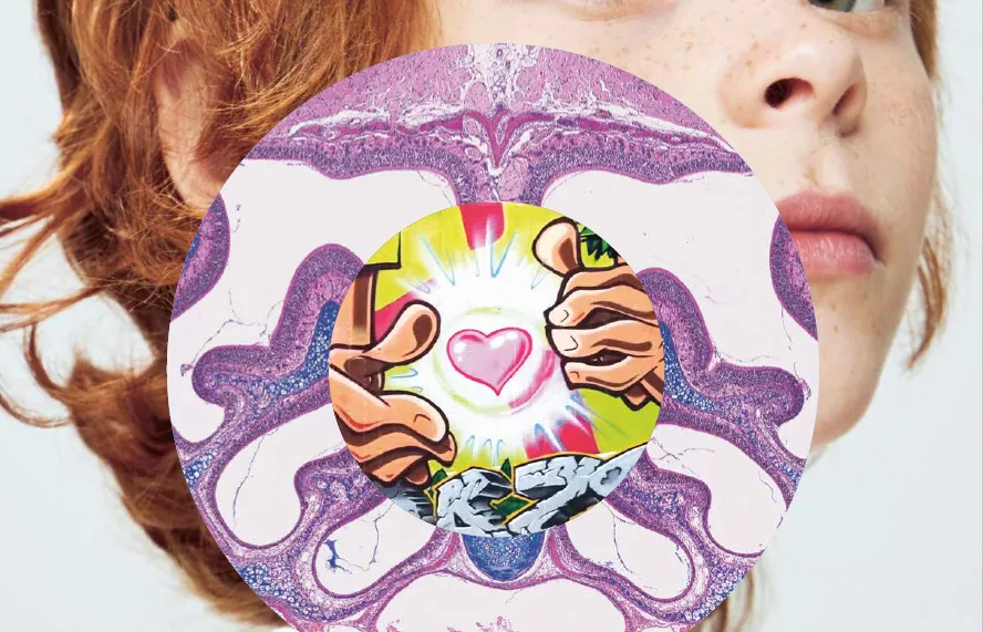 Pulsations juillet - septembre 2023