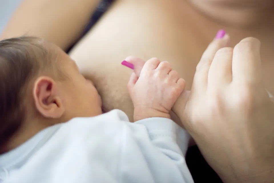 Julien Gregorio-phovea-HUG