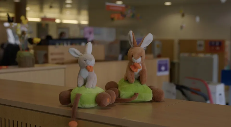 peluches à l'hôpital des enfants