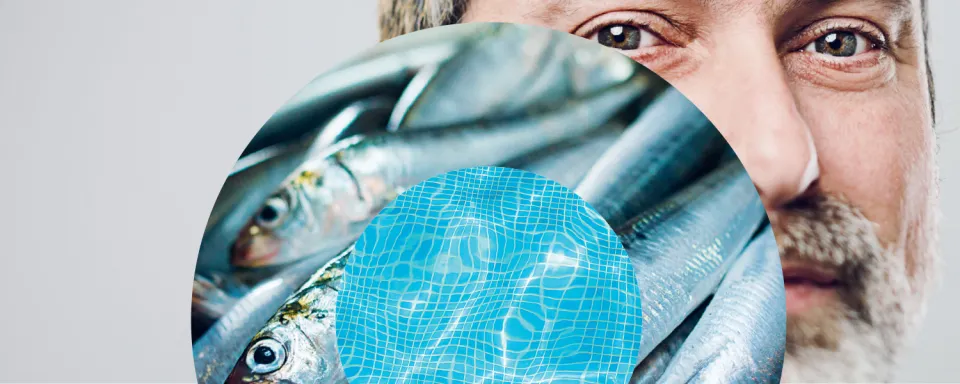 Pulsations magazine juillet-septembre 2024