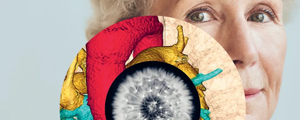 Couverture du Pulsations magazine janvier mars 2025