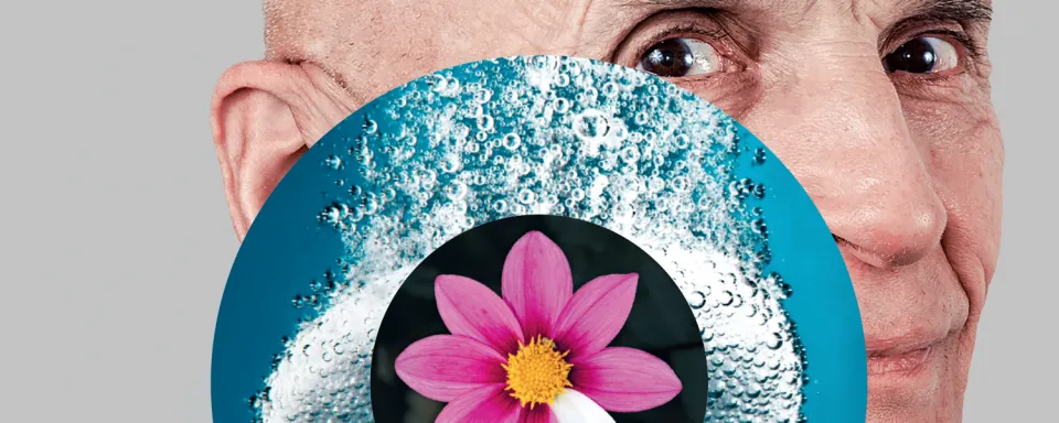 Banner Pulsations juillet-septembre