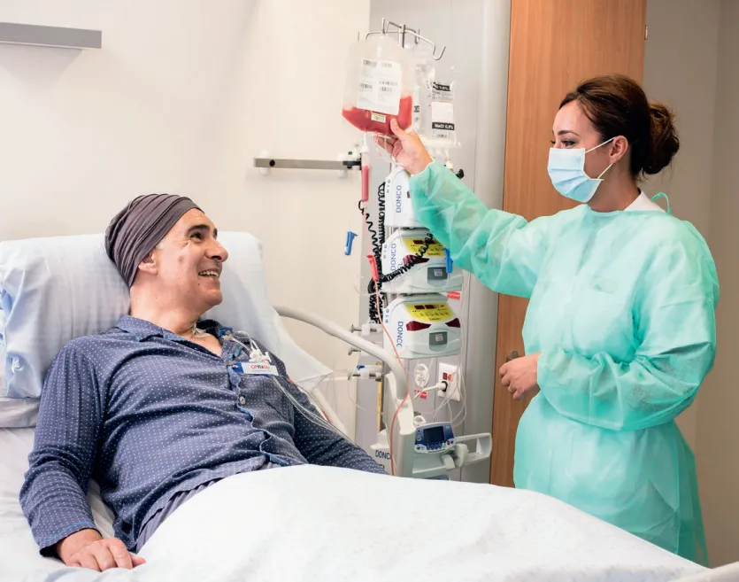 Transplantation des cellules souches