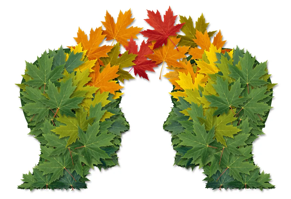 deux visages stylisés formés avec des feuilles d'arbre