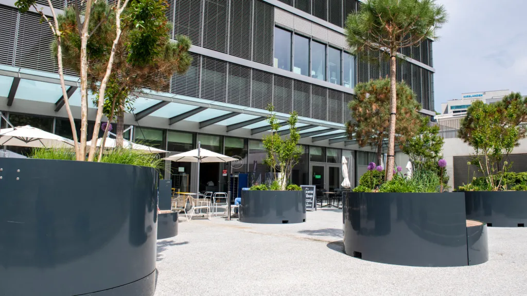 Plantation devant les HUG - Copyright : HUG - Julien Gregorio